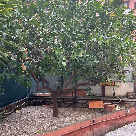 Morgana Vakantiehuis Rome